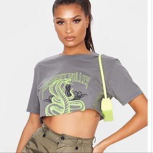 Pretty little things crop top!